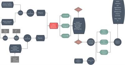 Deciphering Genomes: Genetic Signatures of Plant-Associated Micromonospora